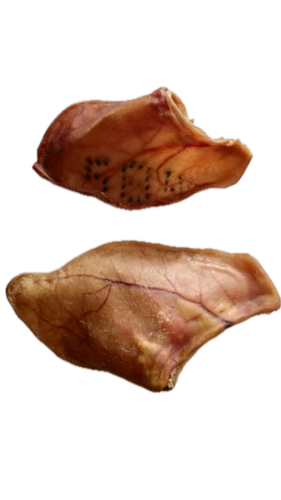 JSA PIG EAR FOR DOGS (20 UNITS)
