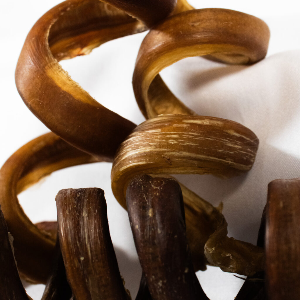 7-9 INCH JSA CURLY BULLY STICK FOR DOGS (5 UNITS)