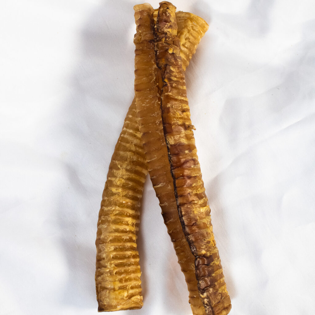 10-12 INCH JSA TRACHEA FOR DOGS (3 UNITS)