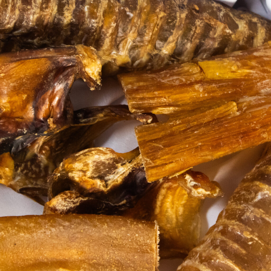 VARIETY BOVINE 6 INCH