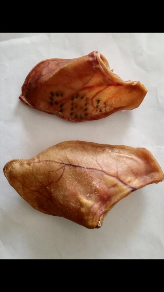 PIG EAR 20 UNITS