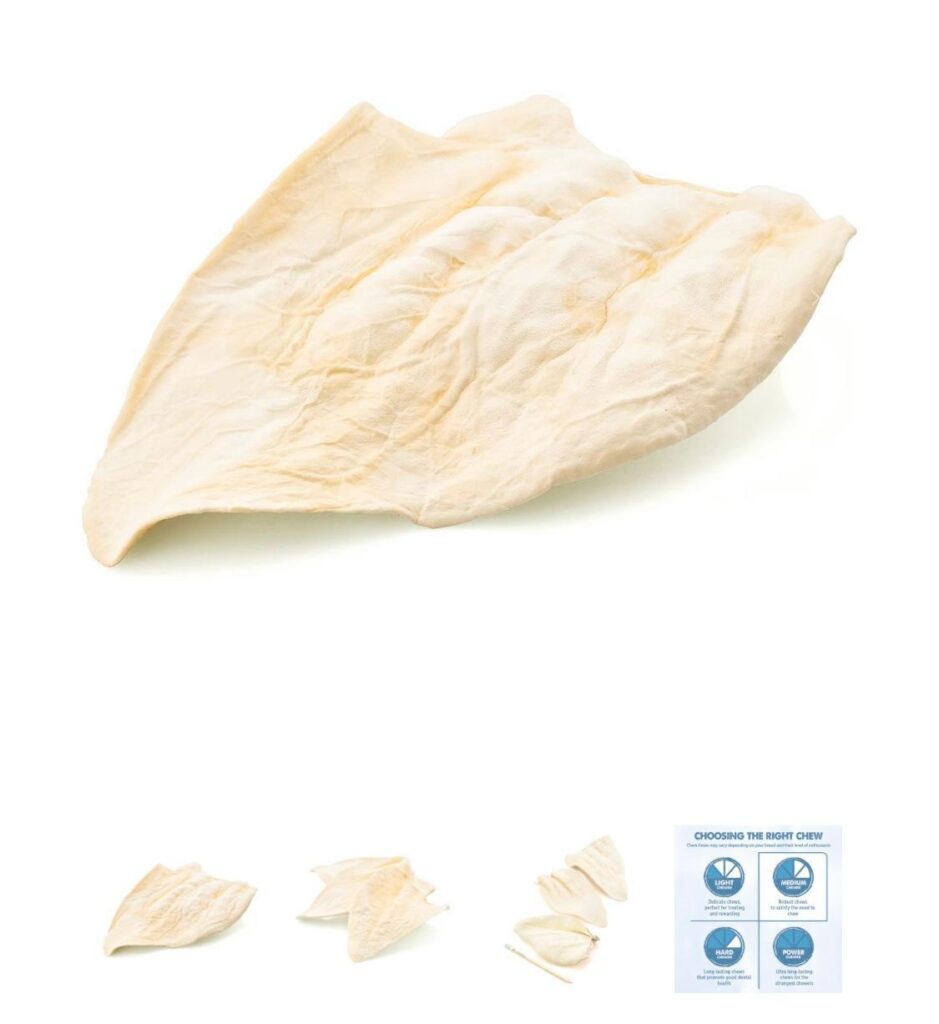 WHITE COW EARS PACK *2 UNITS